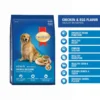 Smart Heart Adult Chicken And Egg