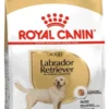 Royal Canine Labrador Retriever Adult Dog Dry Food