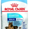 Royal Canine Maxi Starter Dog Dry Food