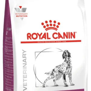 Royal Canine Renal Adult Dog Dry Food