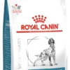 Royal Canine Hypoallergenic Adult Dog Dry Food
