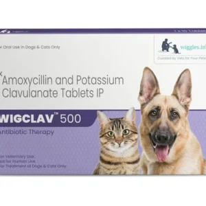 Wiggles Wigclav 500 - 1 X 10 Tablets