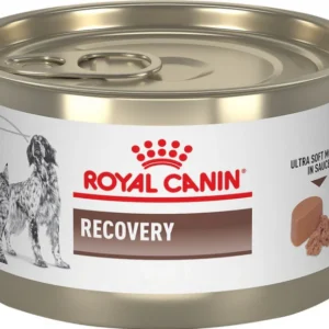 Royal Canin Recovery Dogs and Cats (Tin)