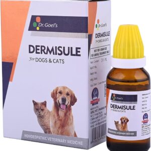 Dr Goels Dermisule Homeopathic Syrup