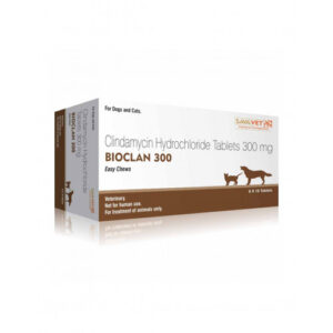 Savavet Bioclan (Clindamycin) Tablet for Dogs and Cats (pack of 10 tablets)